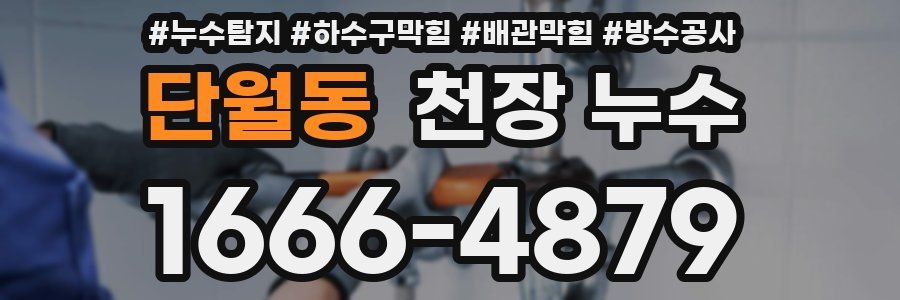 단월동 천장 누수