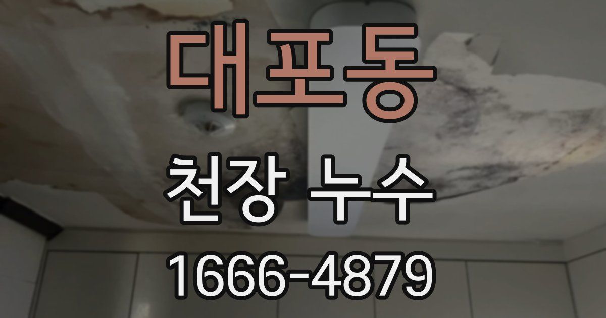 대포동 천장 누수
