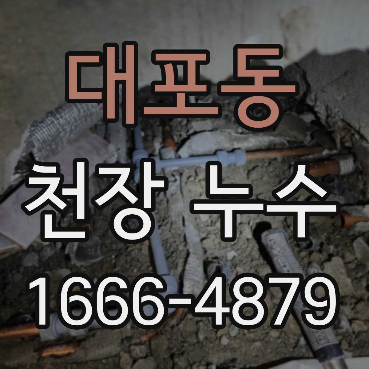 대포동 천장 누수