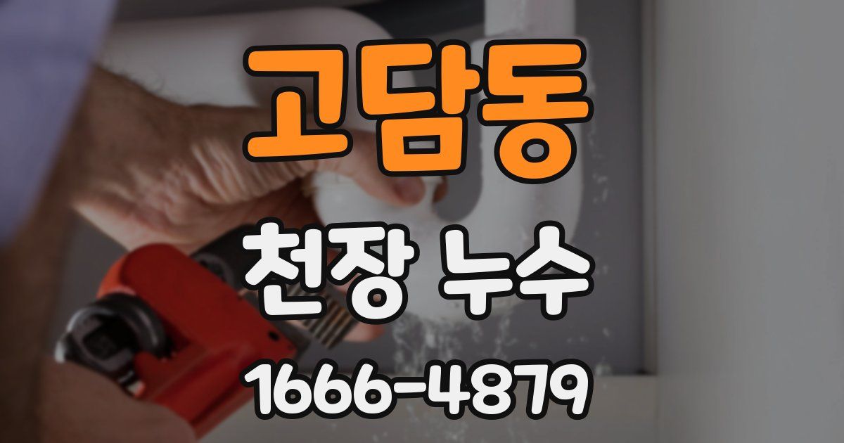 고담동 천장 누수