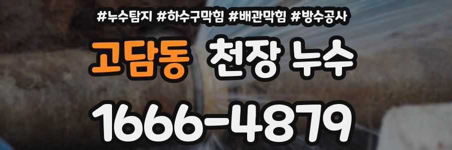 고담동 천장 누수