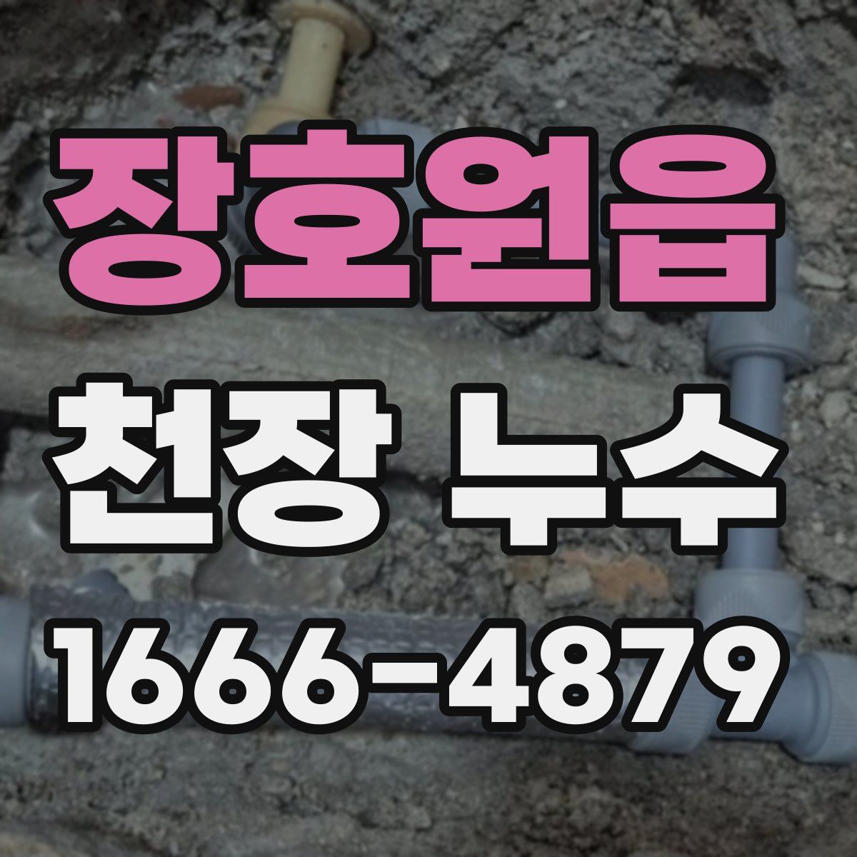 장호원읍 천장 누수