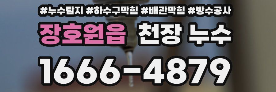 장호원읍 천장 누수