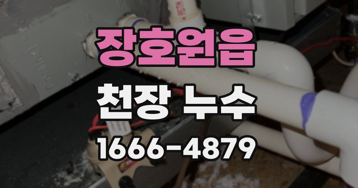 장호원읍 천장 누수