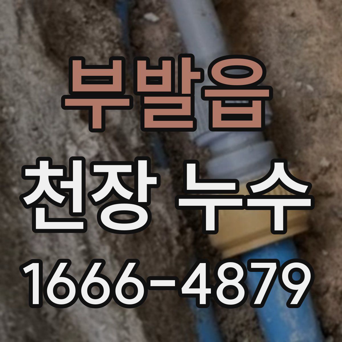 부발읍 천장 누수