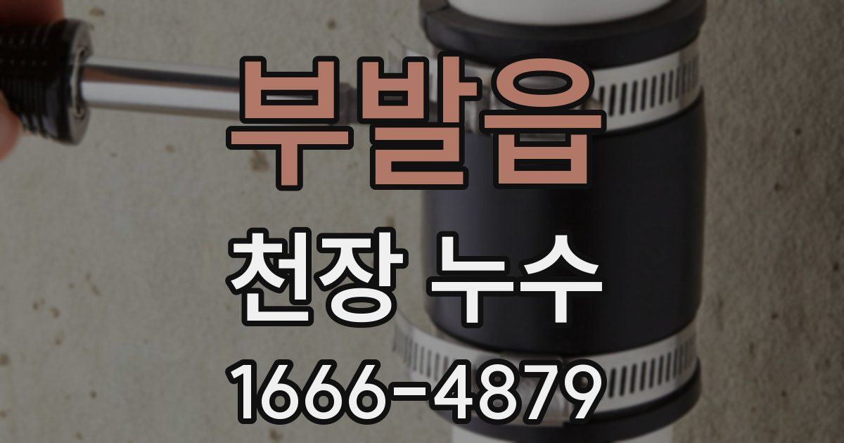 부발읍 천장 누수