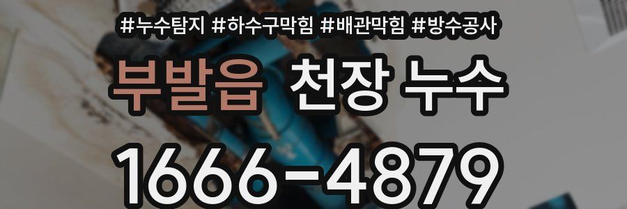 부발읍 천장 누수