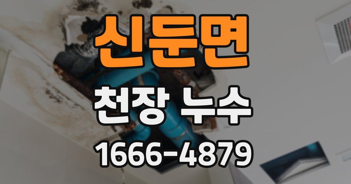 신둔면 천장 누수