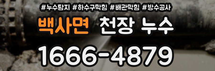 백사면 천장 누수