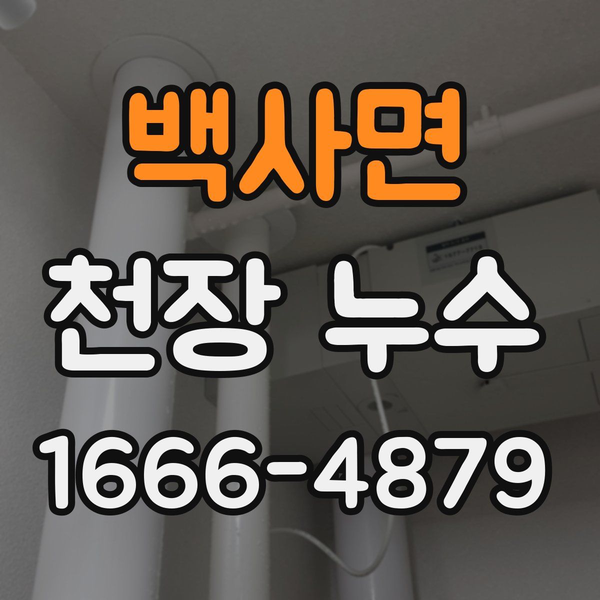 백사면 천장 누수