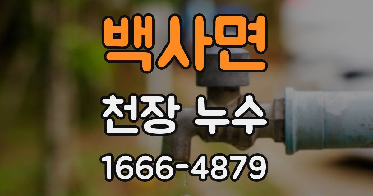 백사면 천장 누수