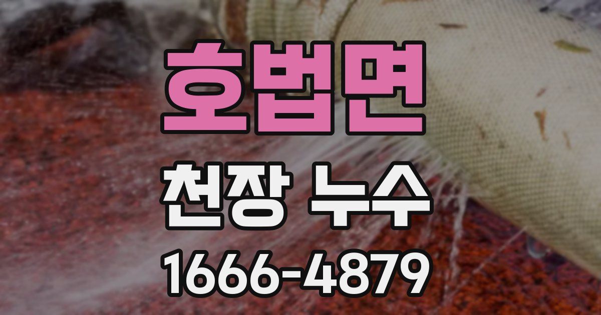 호법면 천장 누수