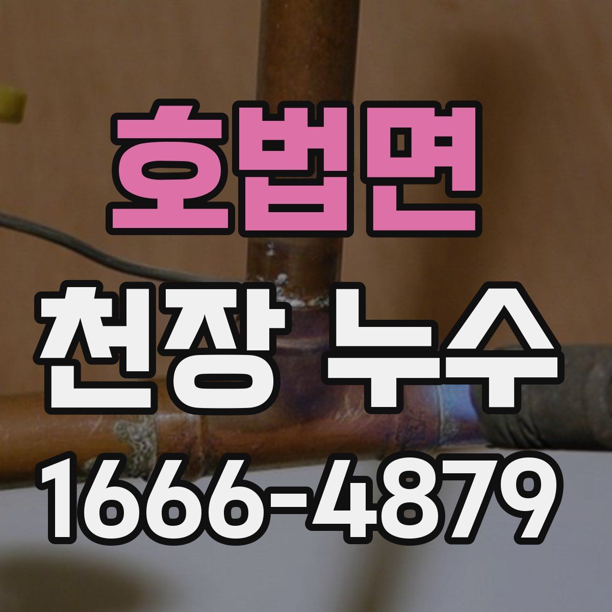 호법면 천장 누수
