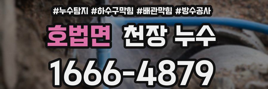 호법면 천장 누수