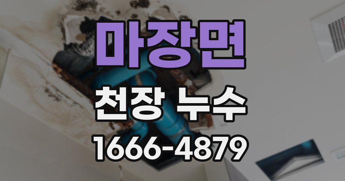 마장면 천장 누수
