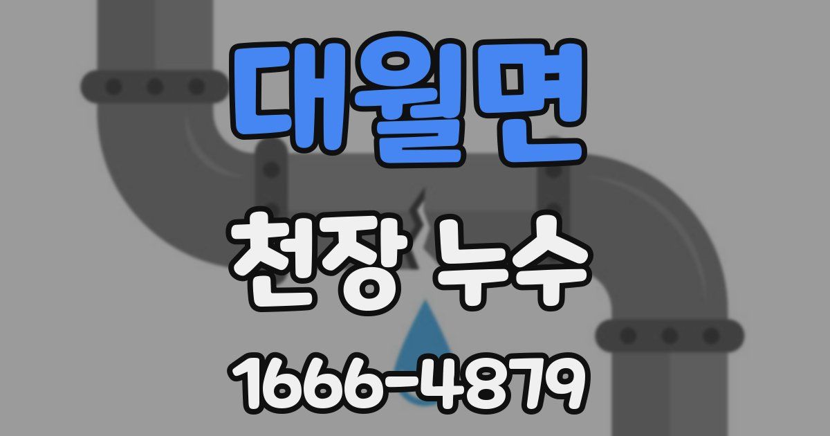 대월면 천장 누수