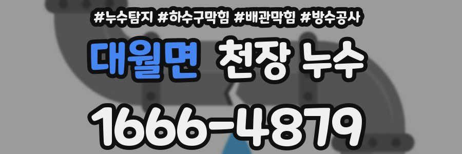 대월면 천장 누수