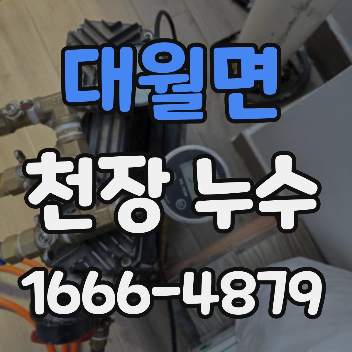 대월면 천장 누수