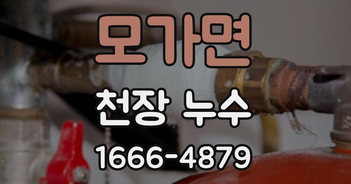 모가면 천장 누수