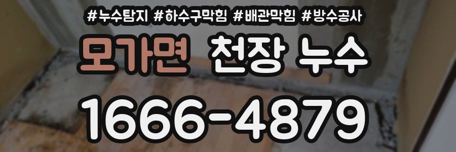 모가면 천장 누수
