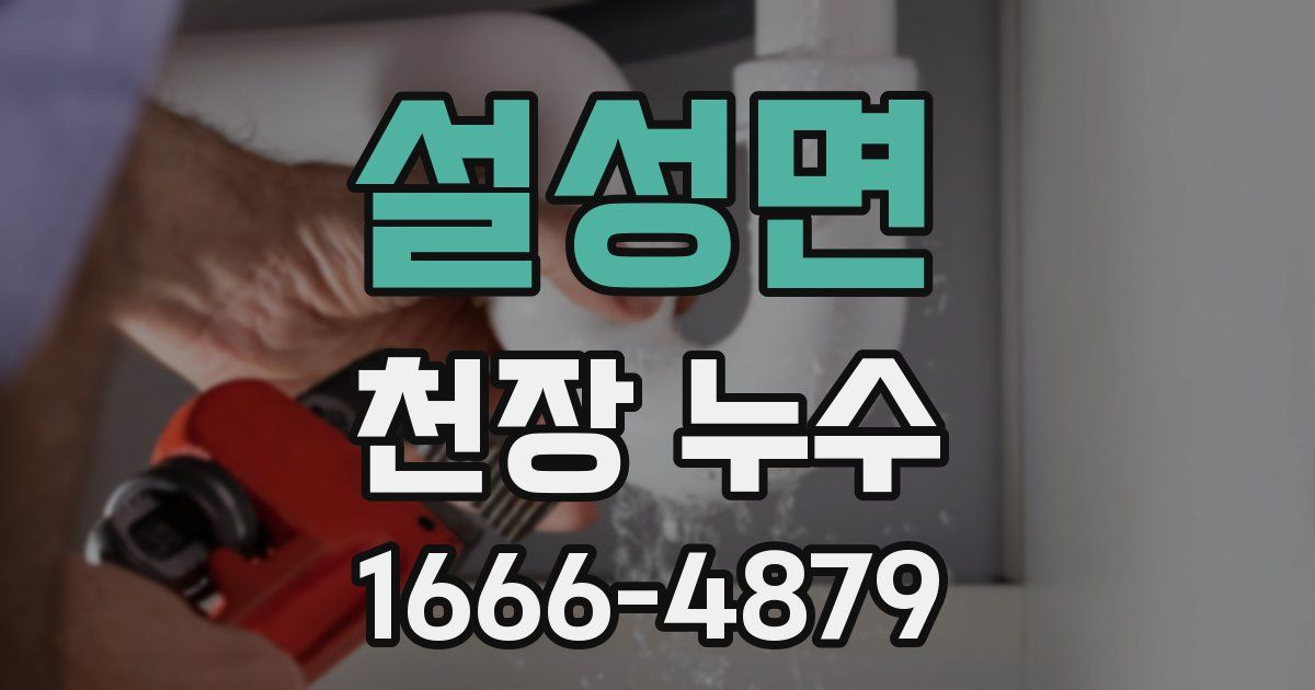 설성면 천장 누수