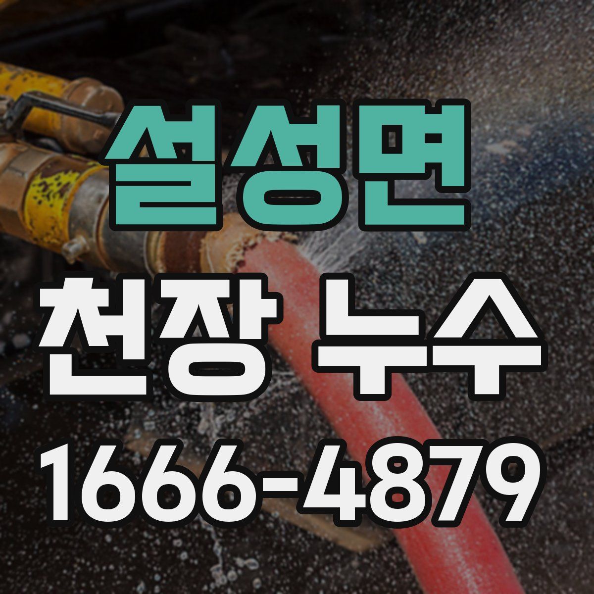 설성면 천장 누수