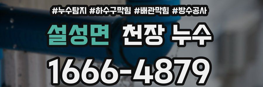 설성면 천장 누수