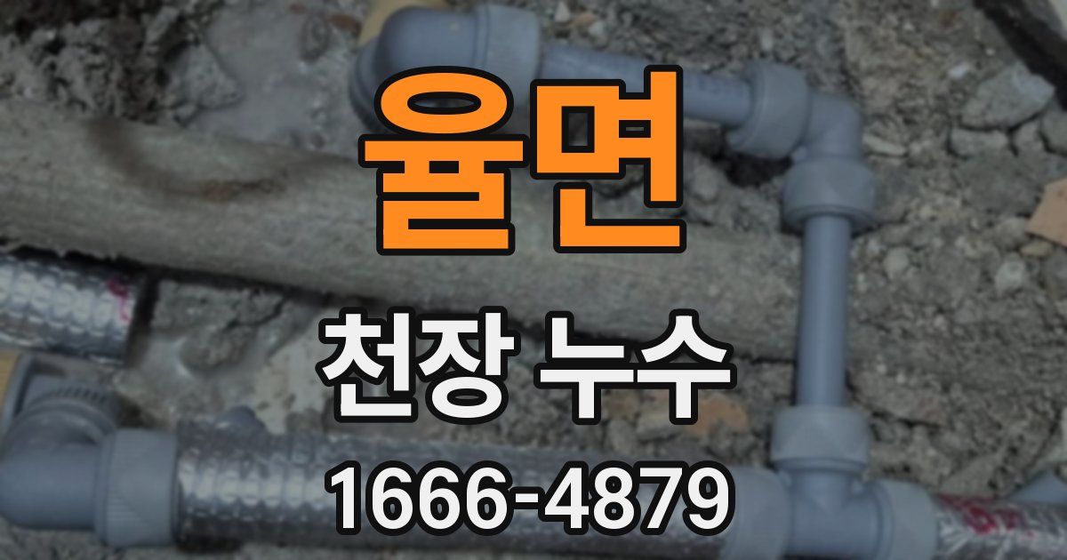 율면 천장 누수