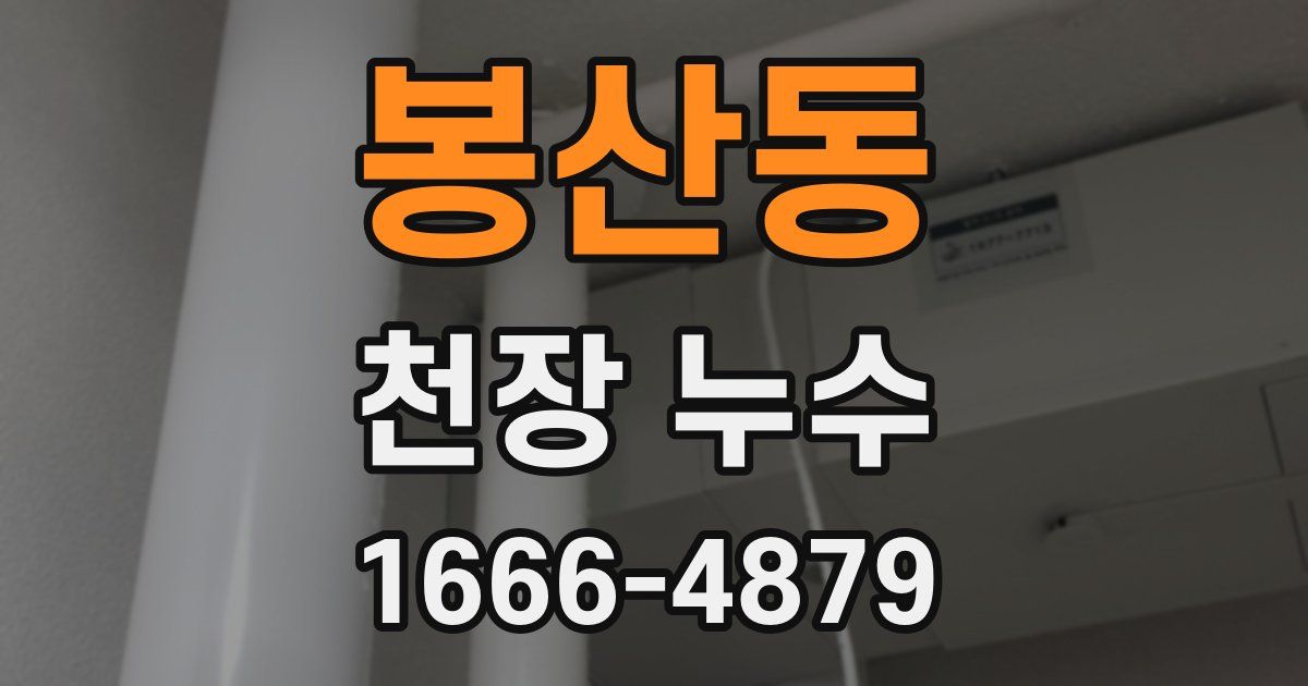봉산동 천장 누수