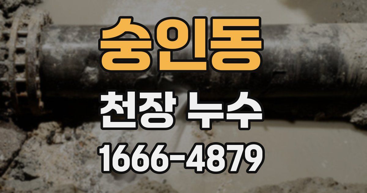 숭인동 천장 누수