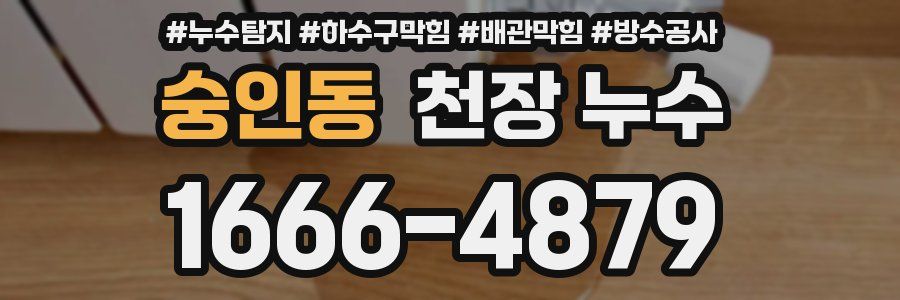 숭인동 천장 누수