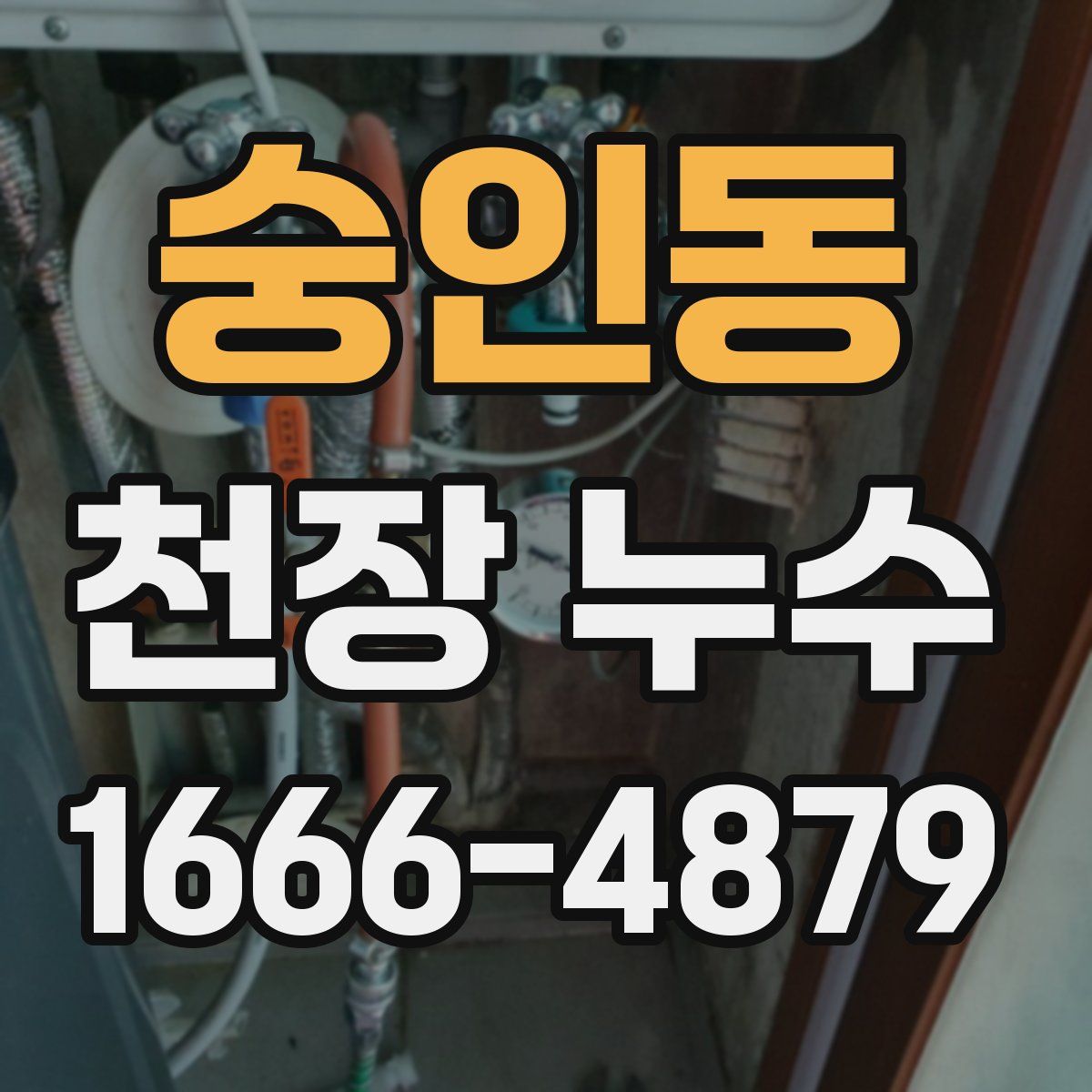 숭인동 천장 누수