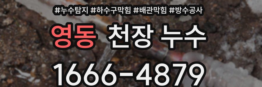 영동 천장 누수