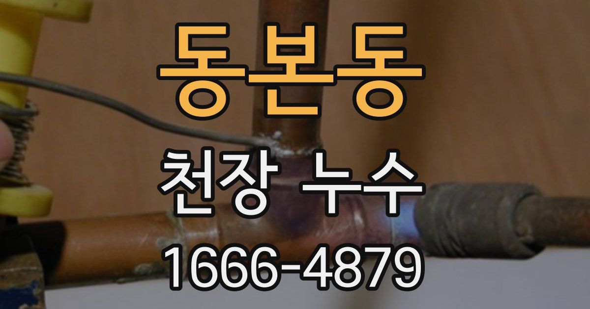 동본동 천장 누수