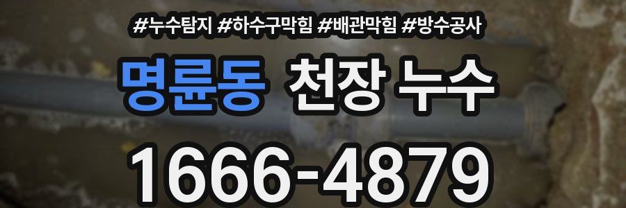 명륜동 천장 누수