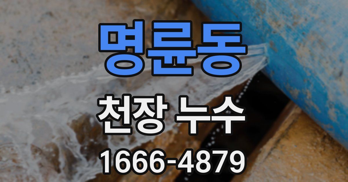명륜동 천장 누수
