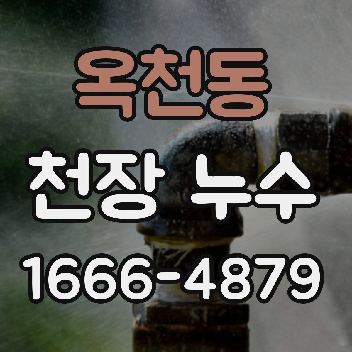 옥천동 천장 누수