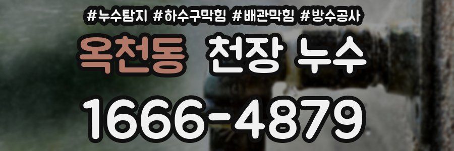 옥천동 천장 누수