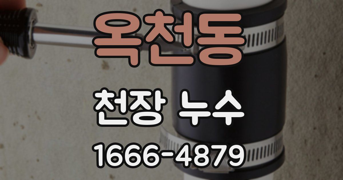 옥천동 천장 누수