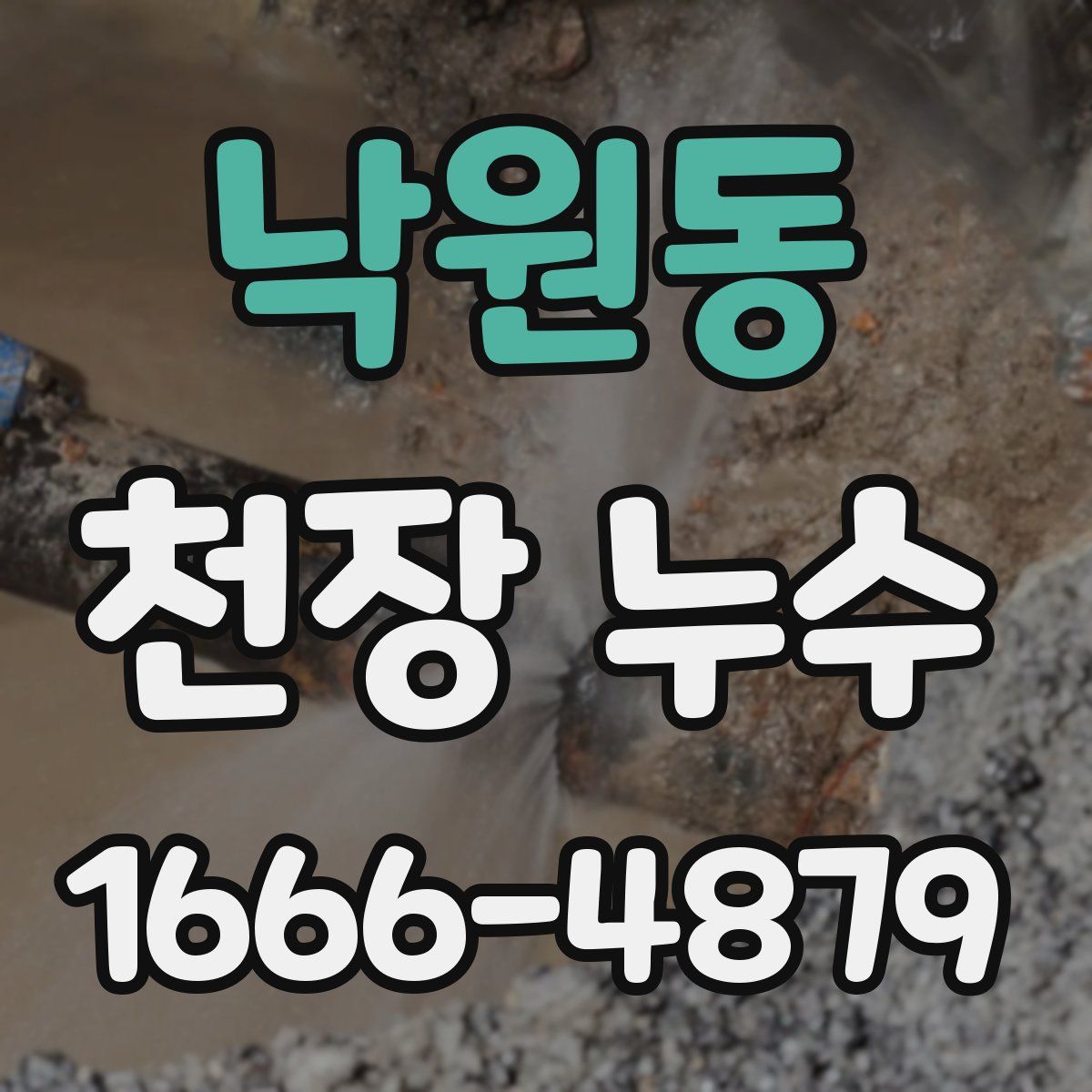낙원동 천장 누수