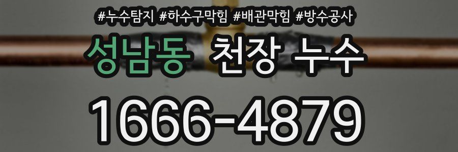 성남동 천장 누수