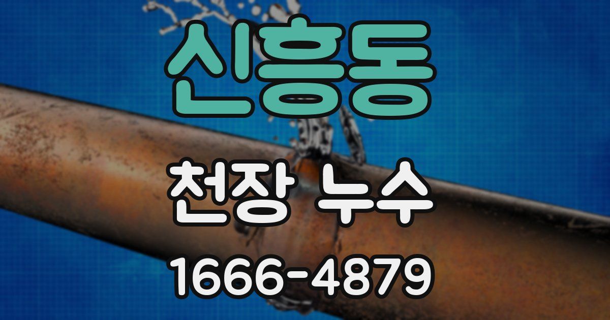 신흥동 천장 누수