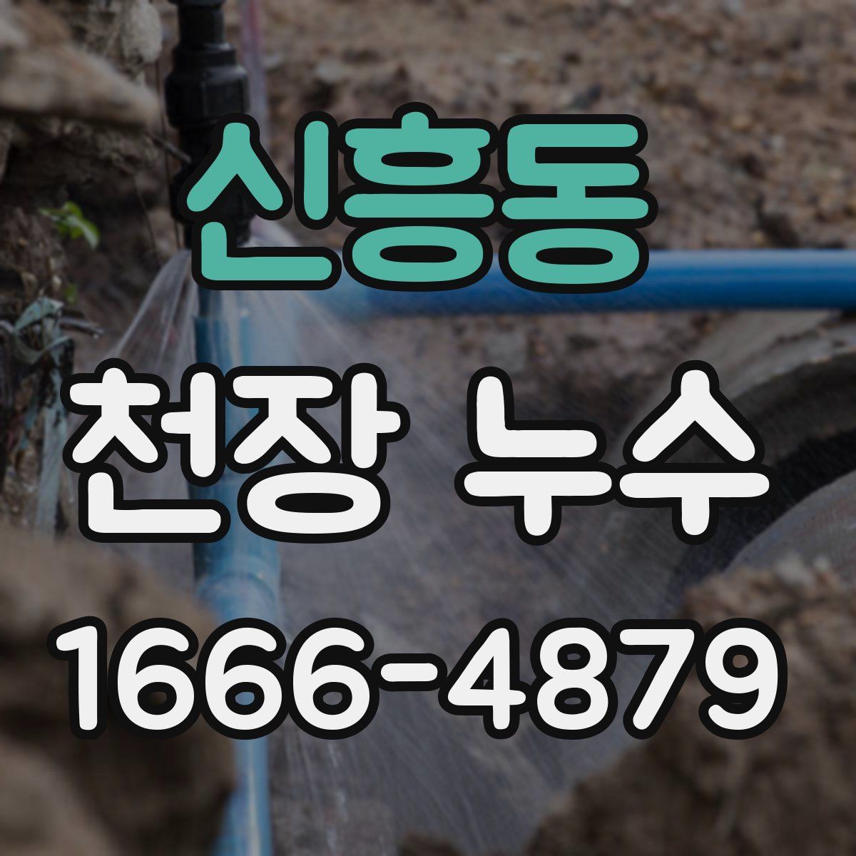 신흥동 천장 누수