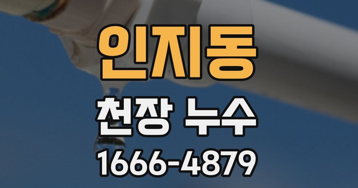 인지동 천장 누수