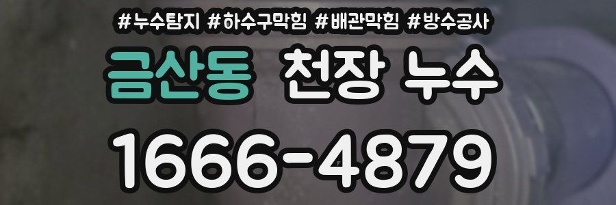 금산동 천장 누수