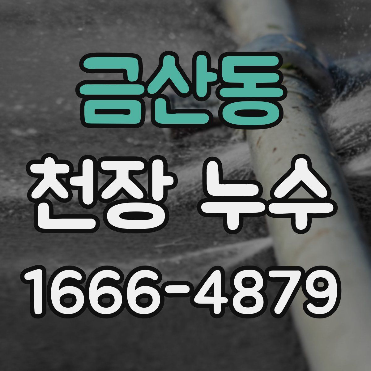 금산동 천장 누수