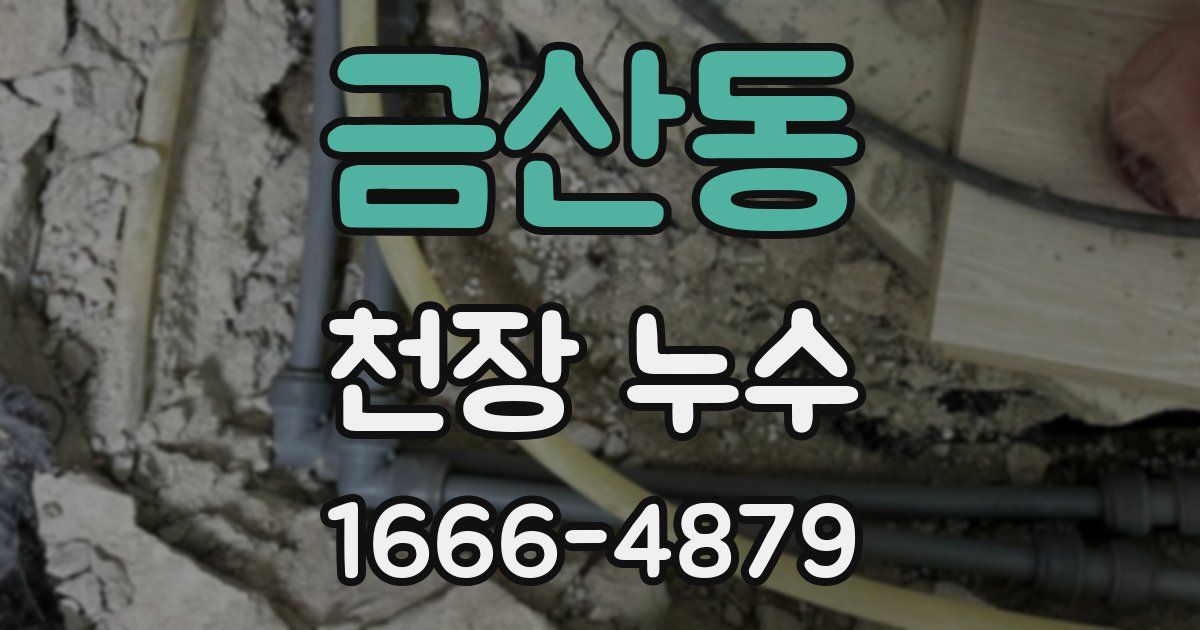 금산동 천장 누수