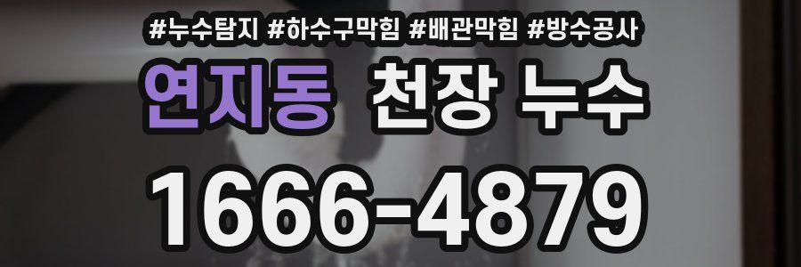 연지동 천장 누수