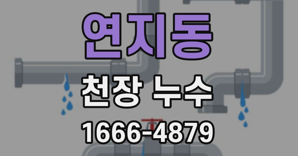 연지동 천장 누수