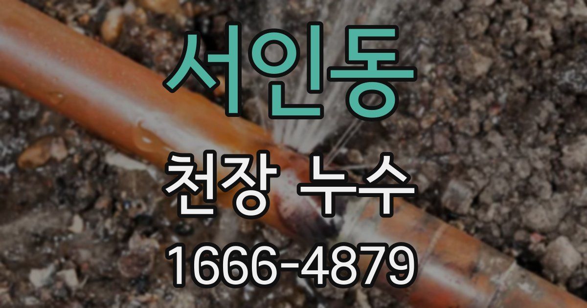 서인동 천장 누수